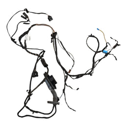 BMW F01 F02 7 Series Rear Left Door Wiring Harness OEM 9234348 - actual used OEM auto part, photo 1